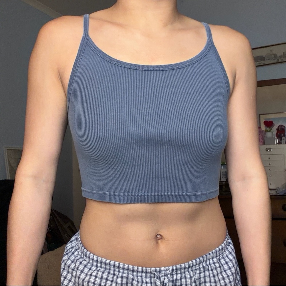 Brandy Melville Crop Top